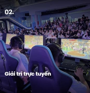 Lĩnh vực hoạt động 2