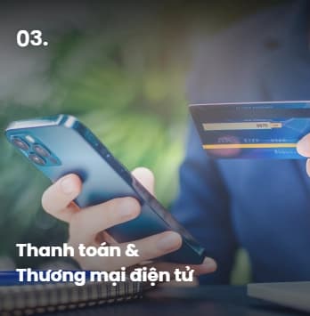 Lĩnh vực hoạt động 3