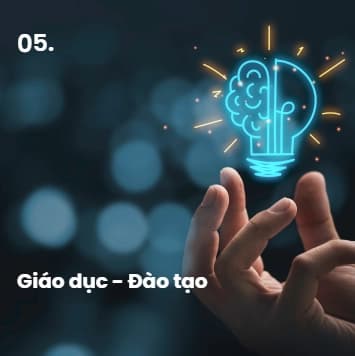 Lĩnh vực hoạt động 5